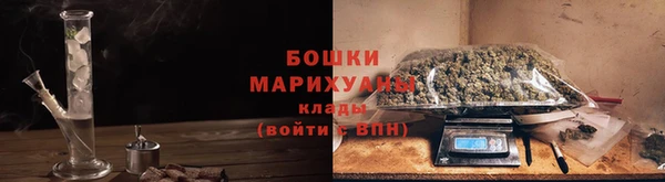 гидра Алагир